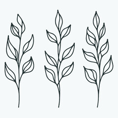 Hand drawn wild flowers Botanical drawing. Simple line art frieze, stems illustration. Black and White Meadow herbs. Stylized blooming twigs plants. Set of outline doodle floral sketch Leaves border