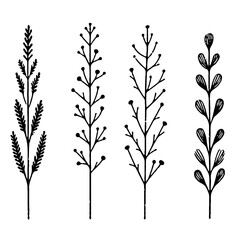 Hand drawn wild flowers Botanical drawing. Simple line art frieze, stems illustration. Black and White Meadow herbs. Stylized blooming twigs plants. Set of outline doodle floral sketch Leaves border