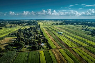 Fototapeta premium Agricultural aircraft sprays pesticides on large fields of crops
