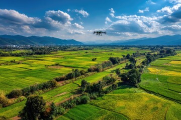Obraz premium Agricultural aircraft sprays pesticides on large fields of crops