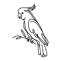 Elegant Cockatoo Line Art Vector A Simple Bird Illustration