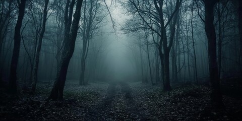Naklejka premium Scary Adventure Through a Fog-Drenched Forest
