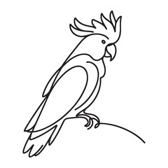 Cockatoo Silhouette Illustration Vector Bird Art Graphic Design