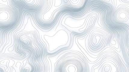 Abstract topographic map design with light gray lines.
