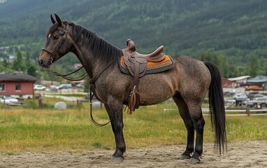 Obraz premium A brown horse stands in a grassy field with mountains and buildings in the background
