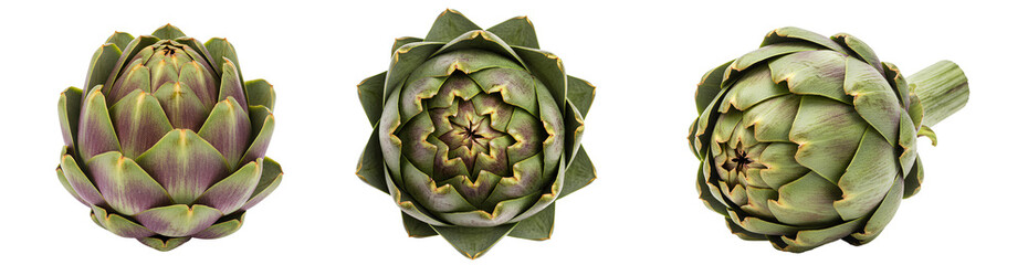 Obraz premium artichoke set png. artichokes top view flat lay. set of artichokes png. vegan vegetarian vegetable