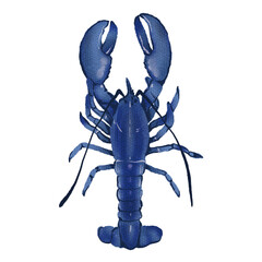 Image of blue lobster summer isolated Hand drawn illustration on a transparent background printed on Printed Glass Basin Splashbacks