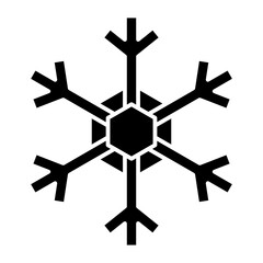 snowflake icon