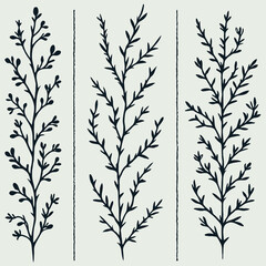 Hand drawn wild flowers Botanical drawing. Simple line art frieze, stems illustration. Black and White Meadow herbs. Stylized blooming twigs plants. Set of outline doodle floral sketch Leaves border