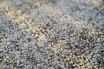 close-up. dark gray Interior pile carpet made of polypropylene. 