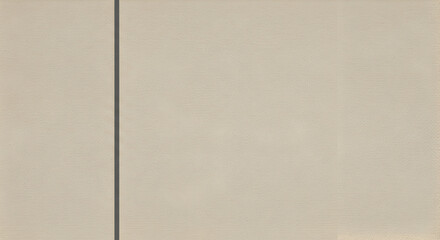 Fototapeta premium Subtle Texture Background With Dividing Line For Graphic Projects And Layouts