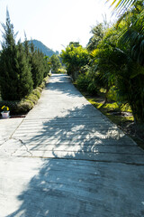 A long walking cemented path is lined with green trees on either side. This inviting route encourages leisurely strolls and exploration of the area.