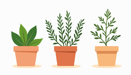 Potted herbs collection in earthy tones on white background, minimalist design