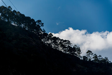 Trees and plants on the slope of the mountain are complemented by various clouds and a blue sky. This vibrant landscape invites exploration.
