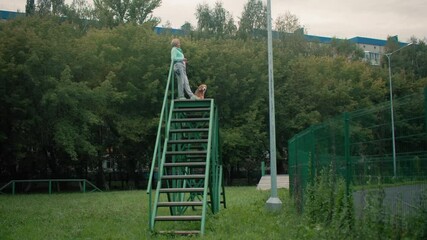 Female pet therapist resting on high ladder trainer with dog during break from training activity in lush green park surrounded by trees near tennis court under calm cloudy sky reflecting bond