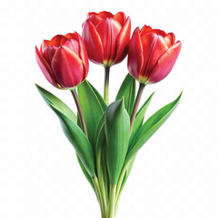 realistic 3d bouquet of three red tulips close up isolated on white background