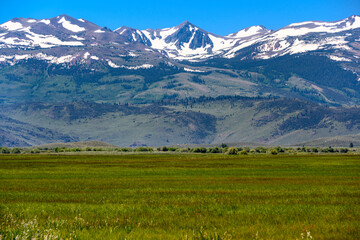 Fototapeta premium Vast green fields meet majestic snow-capped mountains under a clear blue sky in an untouched landscape