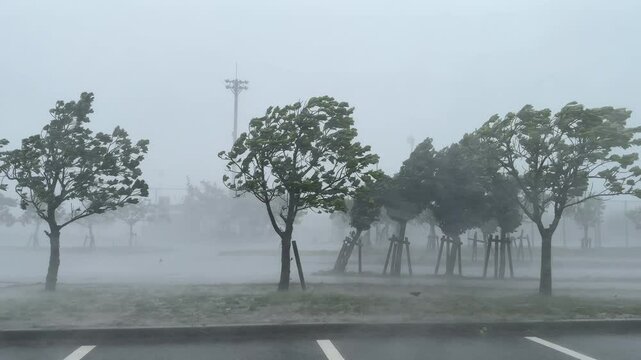 Hurricane Hits Town Sheets Of Rain Thrashing Trees Strong Wind - Khanun