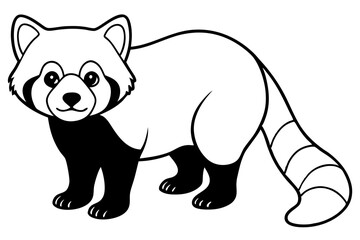 Fototapeta premium Wild Red Panda Sketch Vector