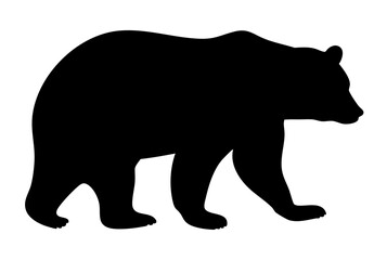 Fototapeta premium Silhouette of a walking bear, showcasing its strong physique and distinctive features.