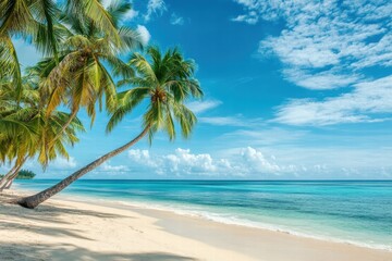 Exotic beach with palm tree and bright sky on a sunny day