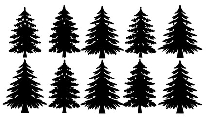 Fototapeta premium silhouettes of ten diverse pine trees in distinct forms for nature-themed designs, posters, educational materials, and digital artwork 