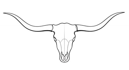 Longhorn cattle skull line art illustration