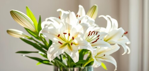 Naklejka premium Elegant white lilies in a glass vase, sunlight illuminating petals, pastel, interior design