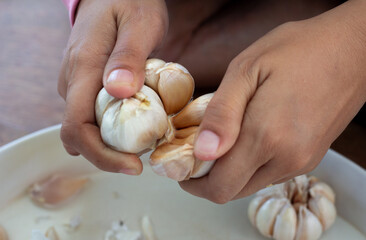 human hands separating fresh garlic cloves manually in a kitchen environment. Traditional culinary preparation process using natural, organic ingredients