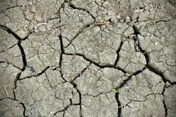 Dry cracked earth background