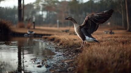 Goose flapping wings lakeside realistic photograph nature close-up view midjourney concept