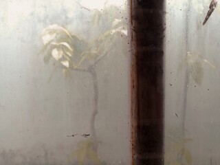 Old Blurry Window with Plant Silhouette – Vintage Mood and Quiet Atmosphere