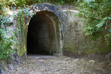 Wejście do tajemniczego betonowego tunelu schowanego pośród lubuskich lasów