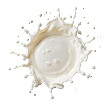 Spilled milk puddle isolated on white background and texture, top view --v 7.0