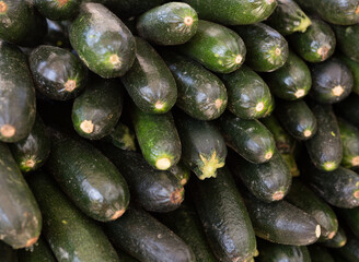 Fresh cucumbers on the market counter