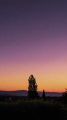 Naklejka premium Majestic tree silhouettes stand against a breathtaking dusk sky painted with vibrant hues of orange, pink, and purple, creating a serene and picturesque landscape.