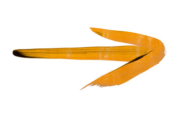 Brush arrow drawn on transparent background.