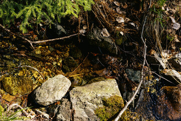 Rocks in a creek