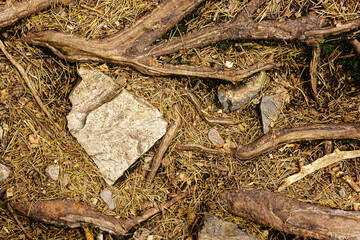 Close up of trail