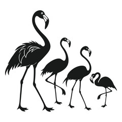 Vector Illustration of Flamingo Silhouette Set Featuring Graceful and Elegant Birds in Various Poses for Wildlife, Nature, and Decorative Art Projects