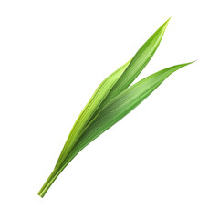 Two vibrant green leaves