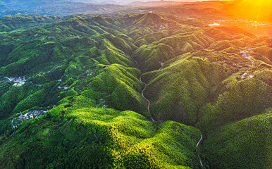 Aerial view of lush green forest mountains with winding road at golden sunset.