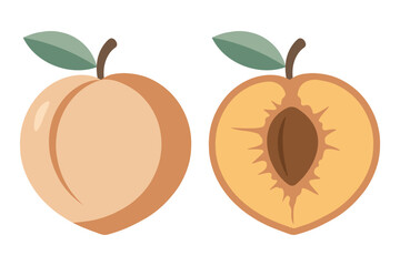 Juicy Peach and Cut Half with Pit – Flat Vector Illustration