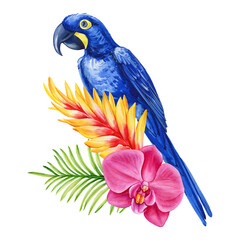 Watercolor blue parrot with tropical orchid flower and palm leaves isolated on white background, Exotic bird and flowers © Hanna