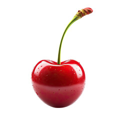Single glossy cherry