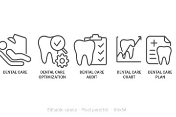 Vector icon set depicting dental care activities including optimization, audit, chart, and planning in a clean design
