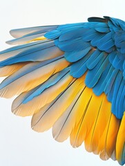 Obraz premium Blue and Yellow Macaw Displaying Vibrant Wing Feathers Under Bright Studio Lighting Setup Generative AI