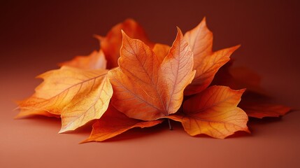 Fototapeta premium Autumn leaves cluster on a surface