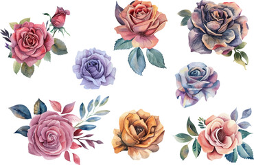 set of roses vector