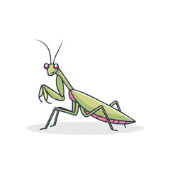 Vector Illustration of mantis, Tinny insect Character for decor.